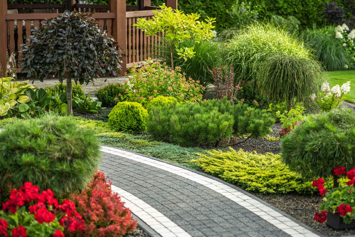 A gardener working on a vibrant fall garden.