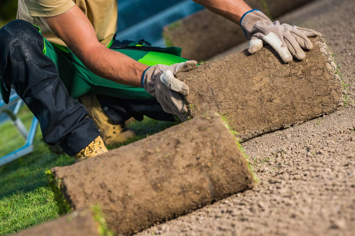 Expert Lawn Installation & Front Yard Maintenance by Mr. Lee