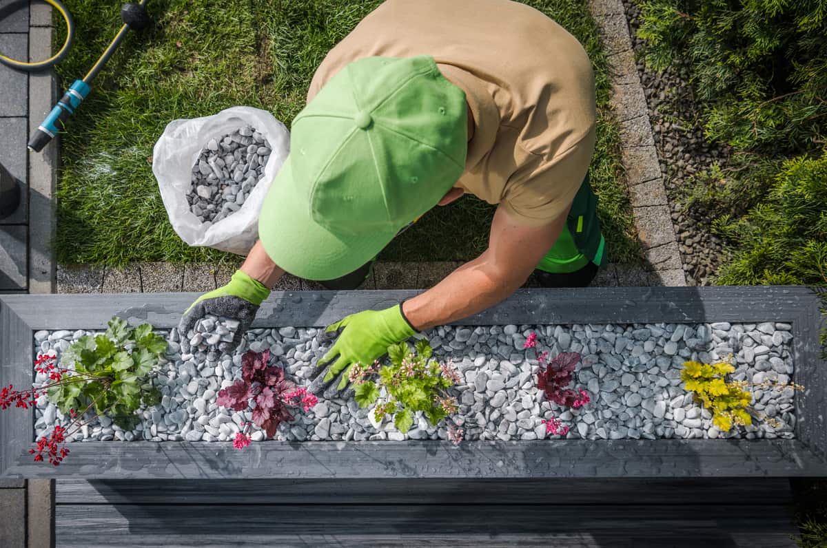 Flowers planting and rocks decorating a modern backyard by Lee's General Landscaping