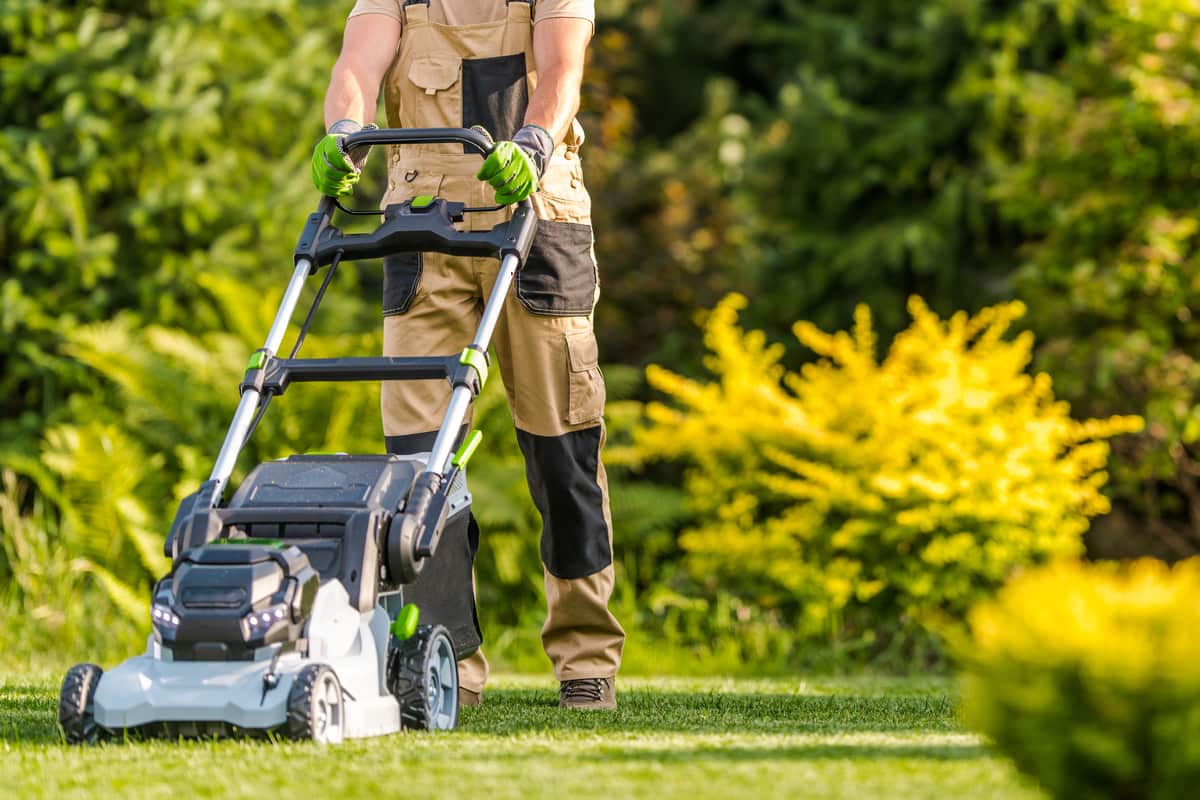 A garden worker using a lawnmower to cut grass in a backyard maintained by Lee's General Landscaping