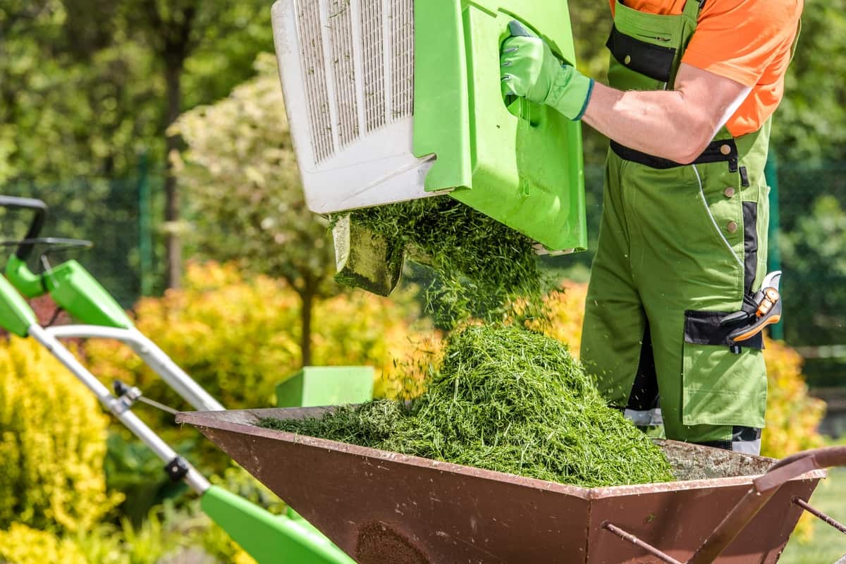 A backyard with grass being mowed using professional equipment by Lee's General Landscaping