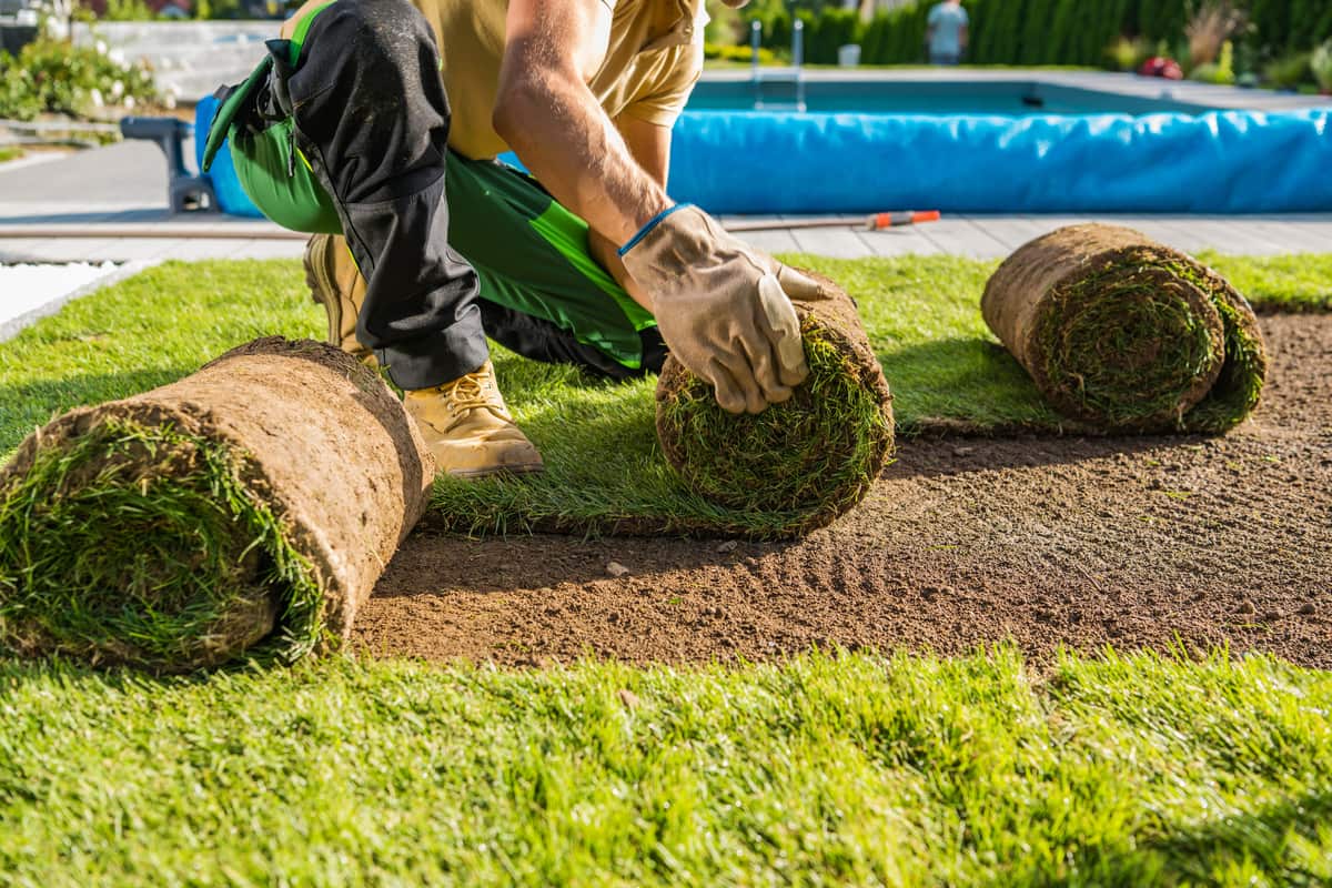 Rolls of natural grass turf being installed in a backyard by Lee's General Landscaping