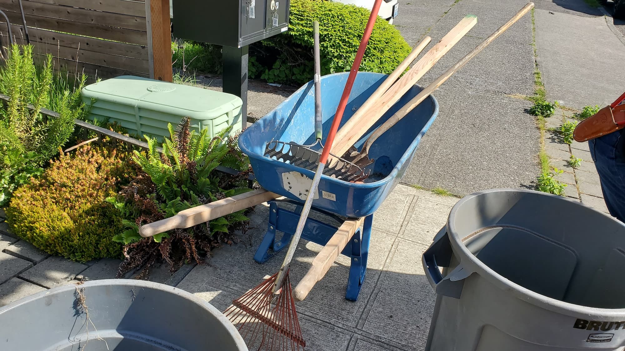 Latest from Lee's Team